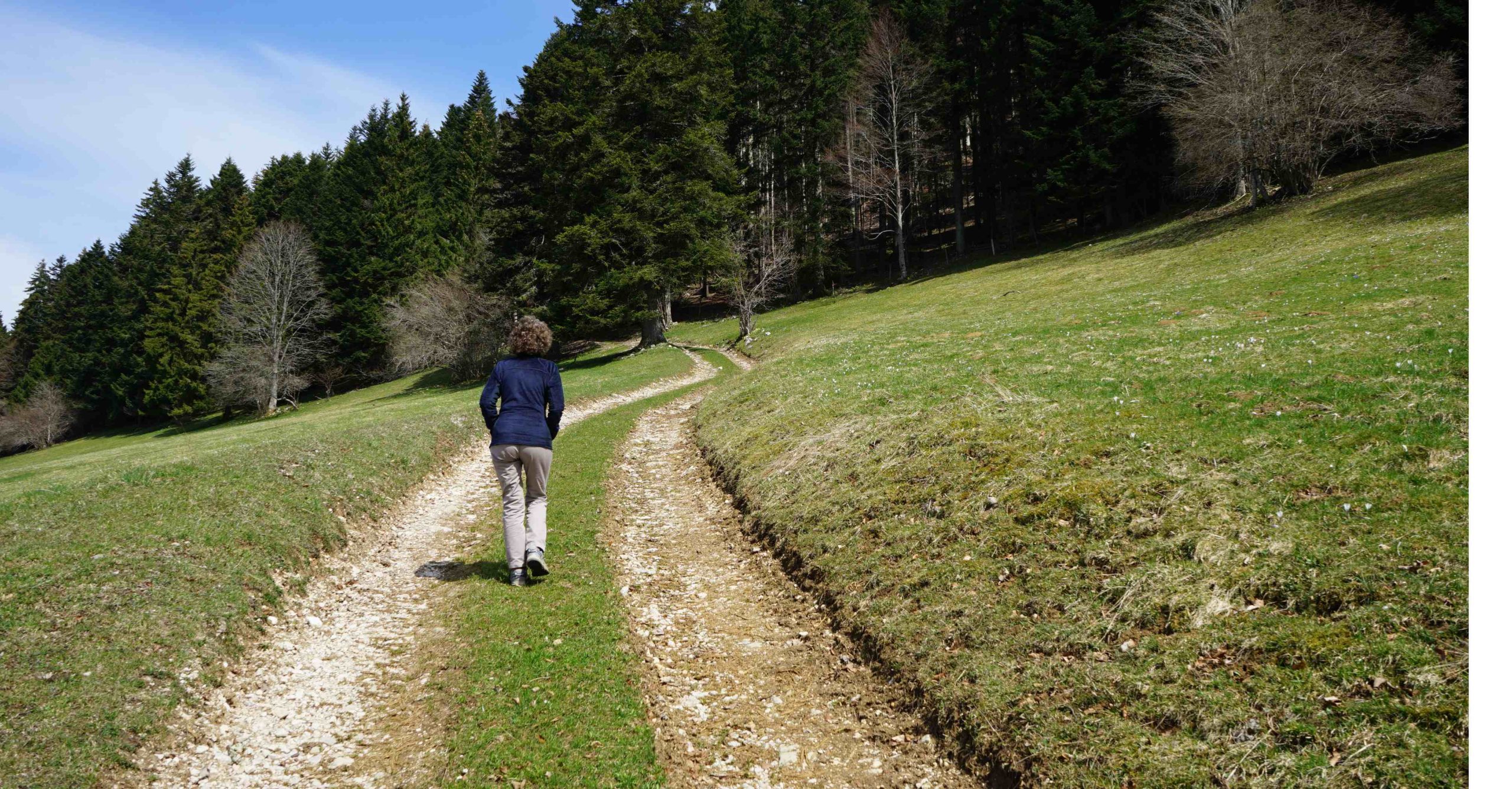 Prière d’un compagnon de route