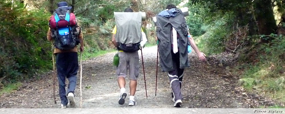 Marcher ensemble : la spiritualité du pèlerinage, une parabole de la vie communautaire