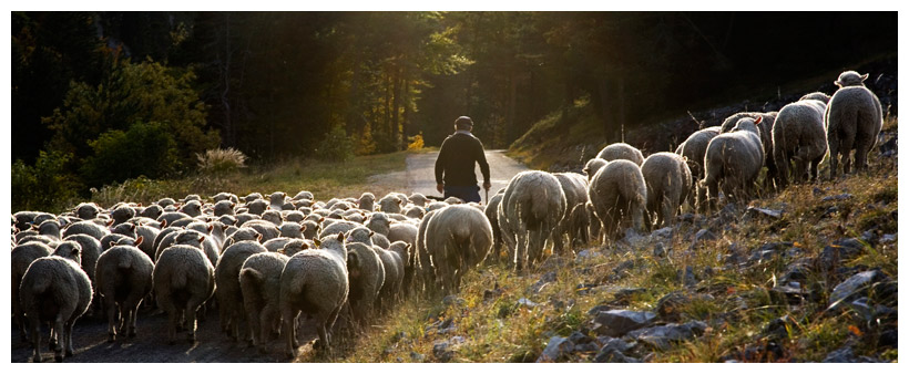 Bergères et bergers dans le Bon Berger