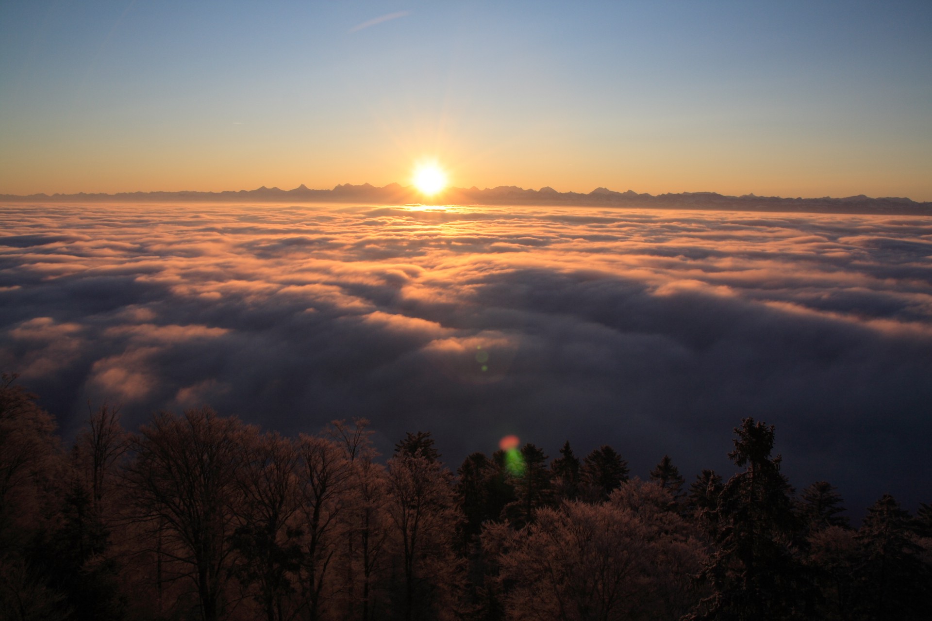 brouillard sur plateau suisse