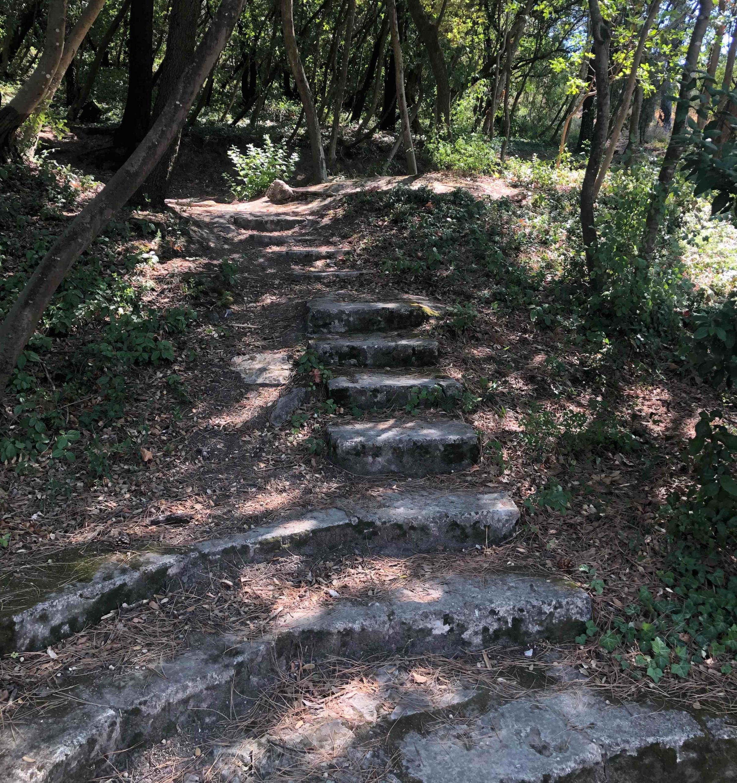 Musulmans et chrétiens en chemin