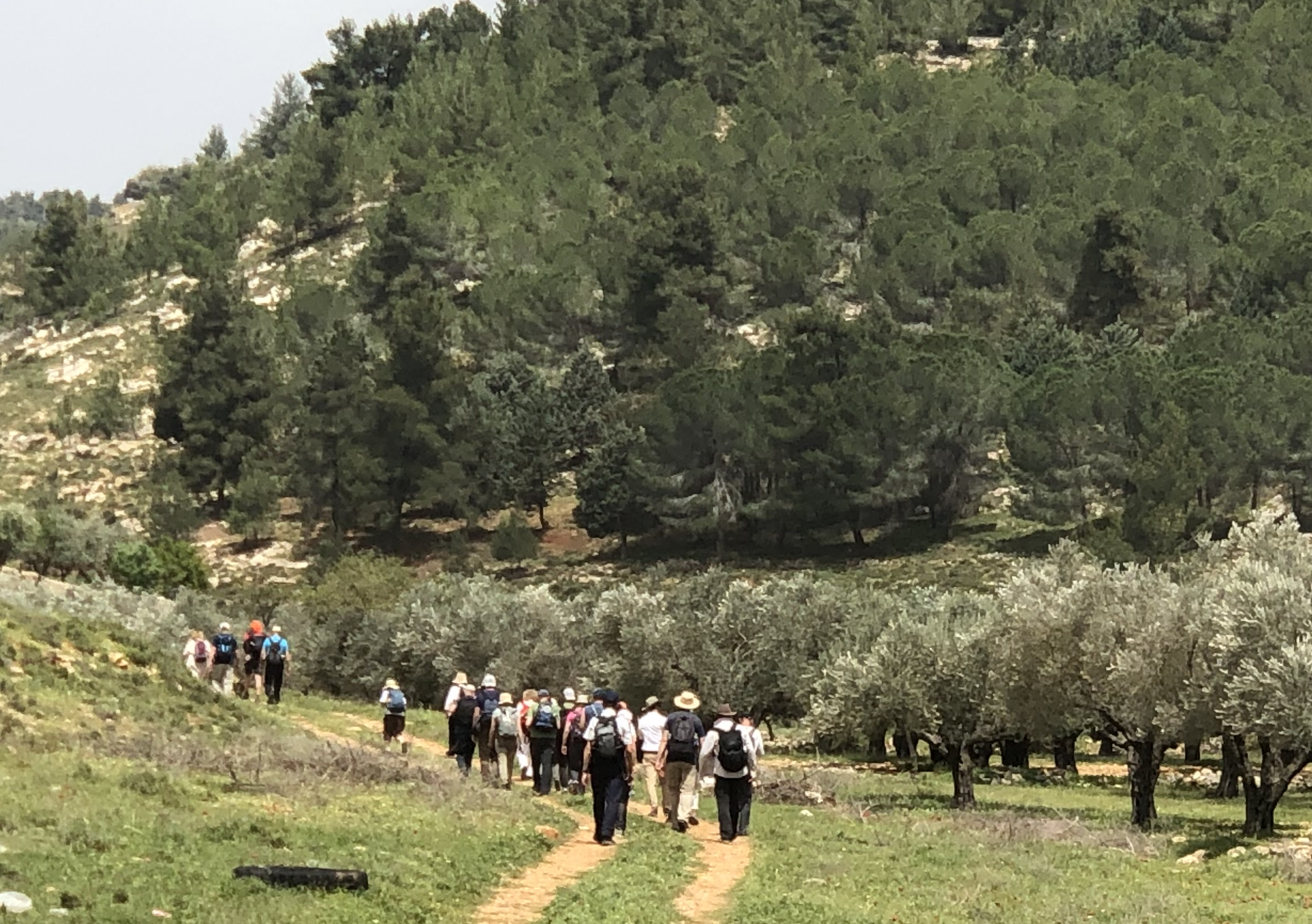 En chemin avec les pèlerins d’Emmaüs