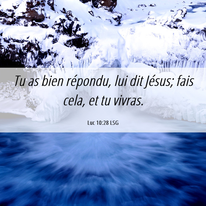 Vivre la Parole de Dieu conduit à la vie 