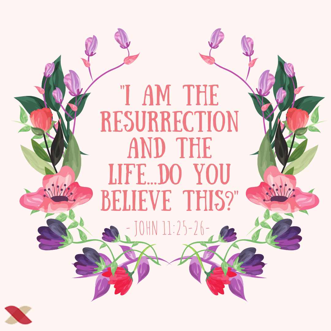 « Do you believe this? »