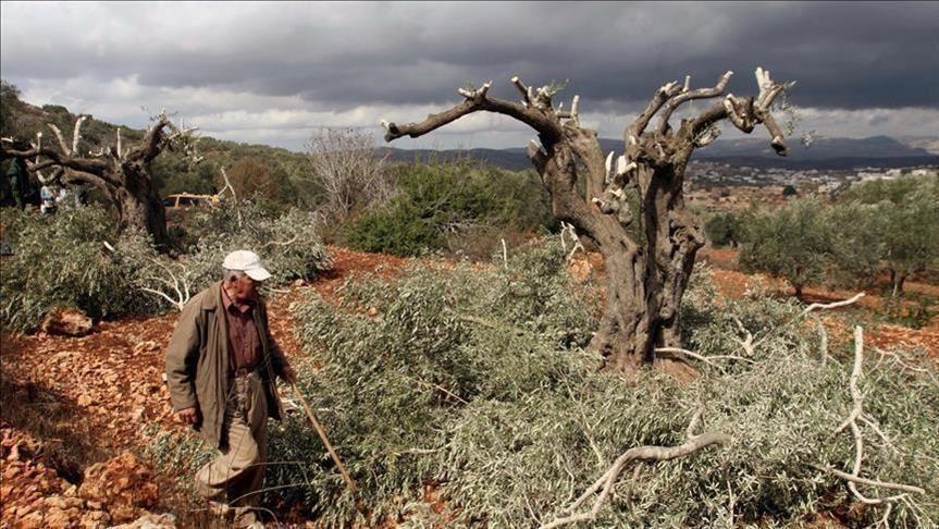 La foi au défi de la terre : deux voix pour une écologie spirituelle