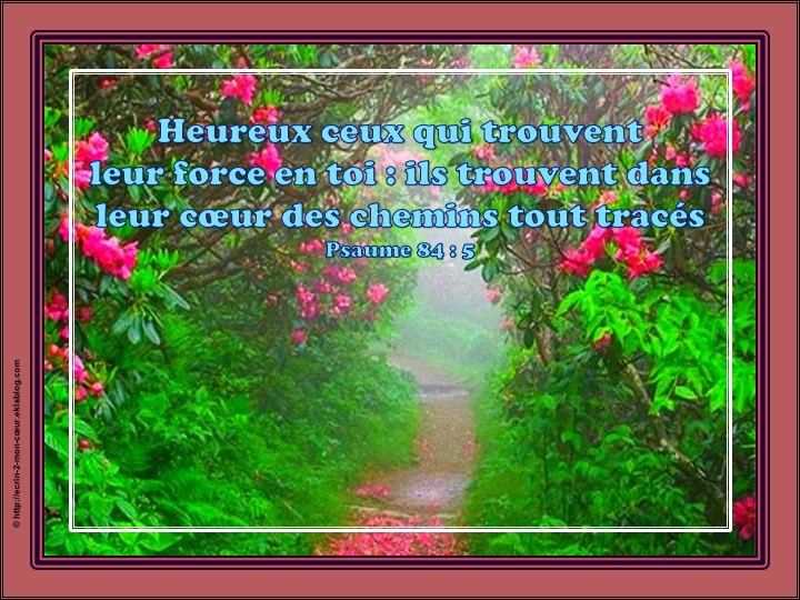 Le pèlerinage vers la maison de Dieu (Psaume 84)