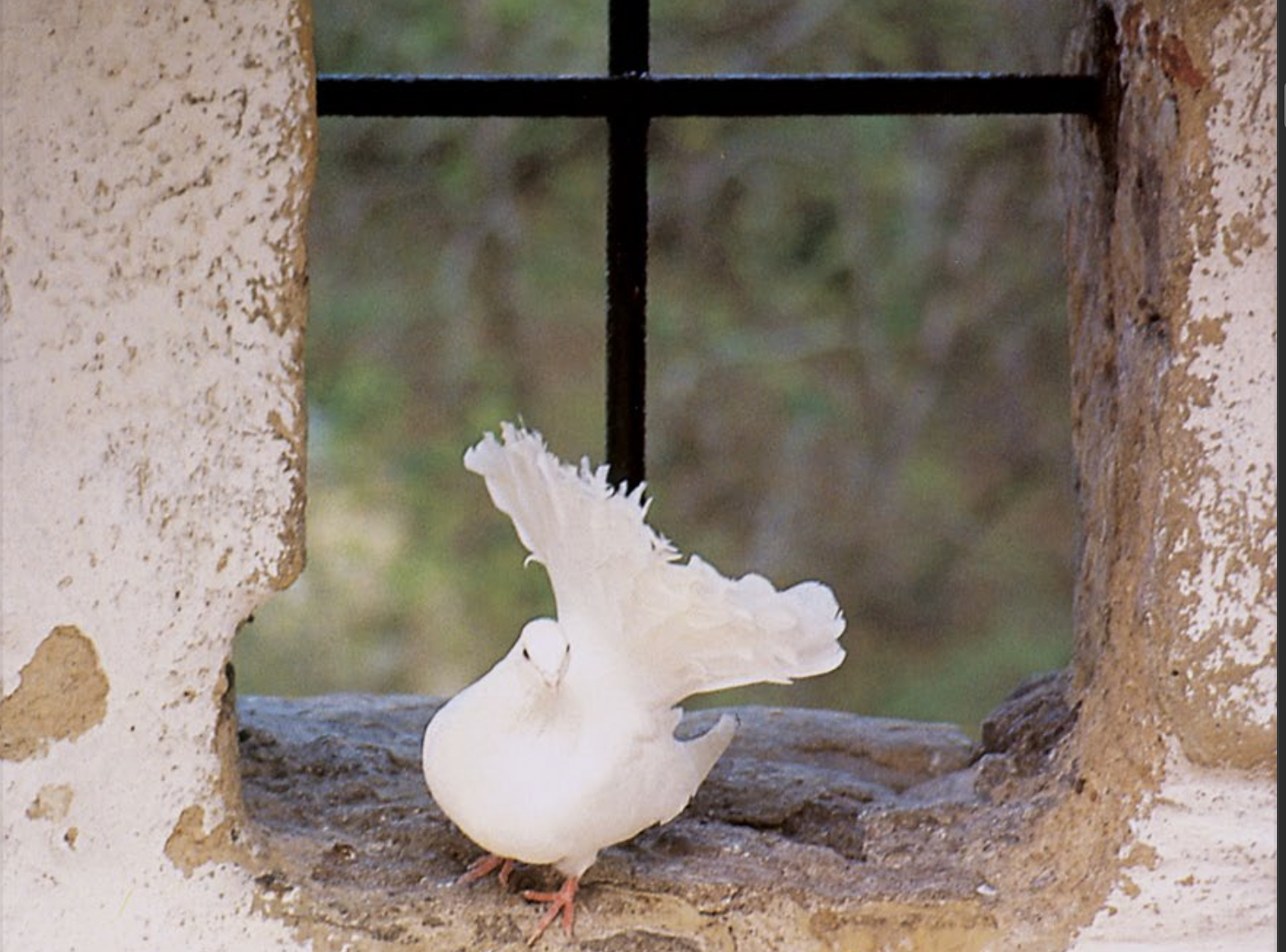 Redonner aux Églises réformées de Suisse une base commune