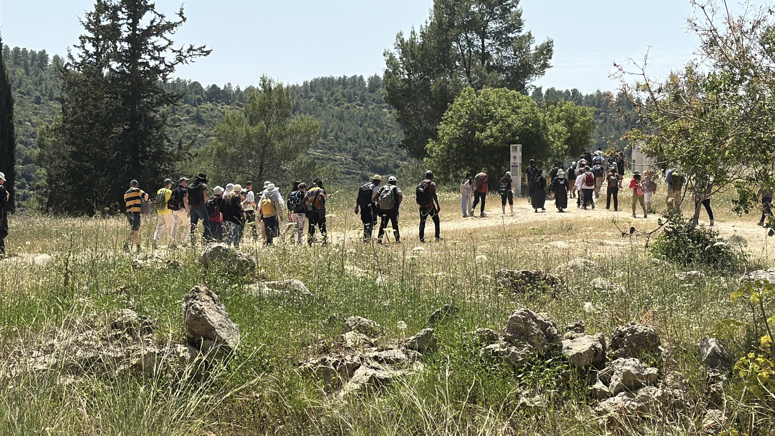 JC2033 Newsletter – Christmas 2025